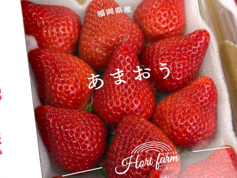 福岡県特産「あまおう」500g  大粒！福岡県エコ農産物認証・こだわり栽培！