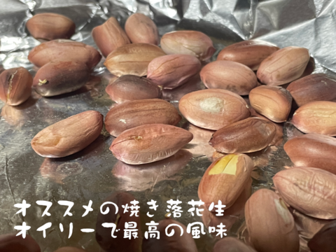 【セール中】落花生の王様！『千葉半立落花生』らっかせい(乾燥500g)生1.3kg相当品