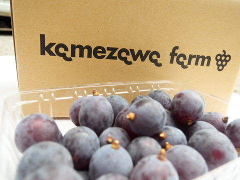 山梨県産　巨峰　1キロパック