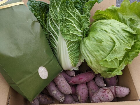 農薬不使用のお米1.8kg＋秋冬野菜80サイズセット