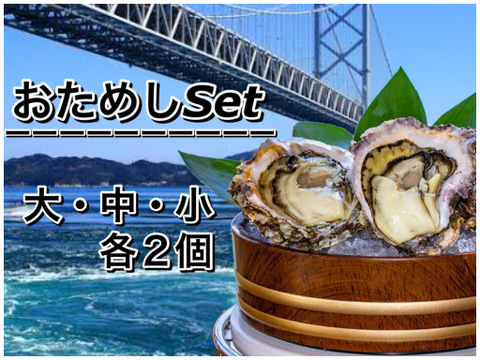 徳島県産 天然 岩牡蠣
【おためしSet ６ヶ入】