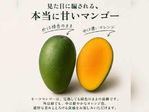 家庭用 良品】宝石マンゴー（キーツマンゴー）1㎏：沖縄県産のキーツ