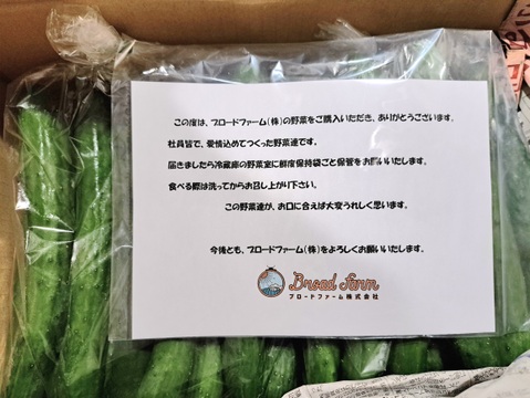 朝採り！信州産きゅうりA品３ｋｇ