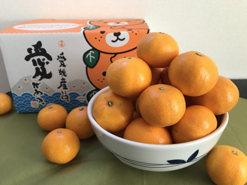 お試し欲張り柑橘セット【早生みかん2kg】【イエローレモン1kg】
