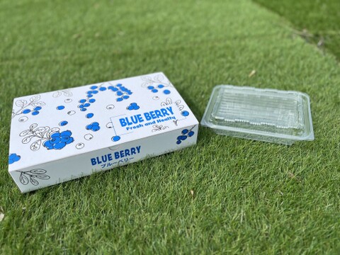 大きく食べやすい！ブルーベリー『品種ミックス』500gx2p