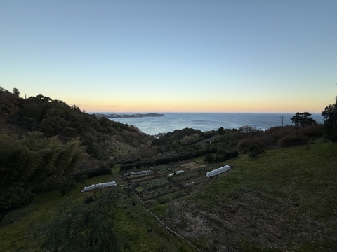 〔秀・優〕完熟イエロー果汁たっぷり！『ATAMI de LEMON®』5Kg- 爽やか芳醇- 品種お任せ