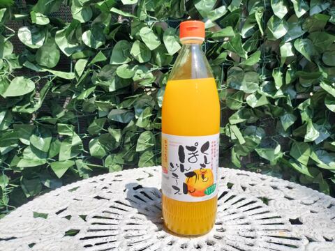 四季彩園のくしもとポンカンジュース