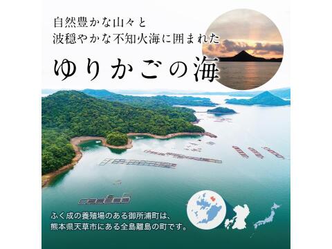 【Firesh®︎】国産サクラマス-桜空-カルパッチョ（60ｇ/1パック）