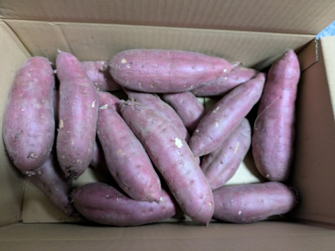 茂賀屋のさつま芋