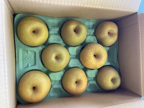 太陽の光をたっぷり浴びた幸水梨3kg(7〜9玉)