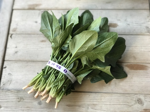 【食べ比べ】京の冬野菜セット2026【漢方栽培】