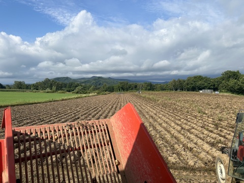 《北海道生まれ♩》きたかむいL.2Lサイズ5kg