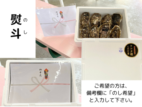 【夏ギフト】ヨコタ礁天然岩牡蠣_生食用（小８個）