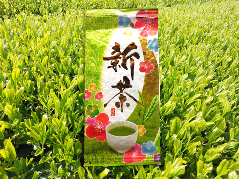 【2021年走り新茶】【3袋セット】走り新茶 かおり 80g 深蒸し茶