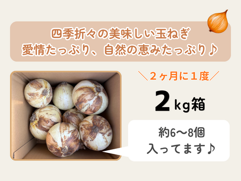 【玉ねぎ定期便】淡路島 季節の玉ねぎ 2kg箱 約6～8個入
