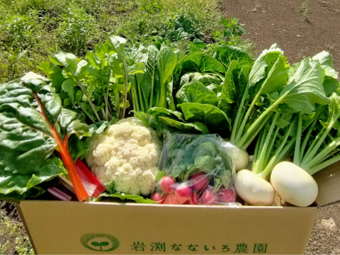 【マタニティフード認定☆】朝採れ新鮮野菜を信州の高原よりお届け！！旬の野菜セット７種（レギュラー）