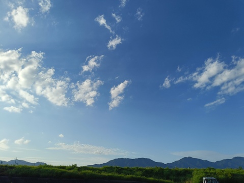 ☆自然栽培☆とっーてもピュアなジャガイモ（普賢丸）5kg🥔🥔✨️