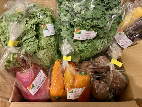 【クール便】カラダ喜ぶ『お試しS冬のカラフル野菜セット6品目』