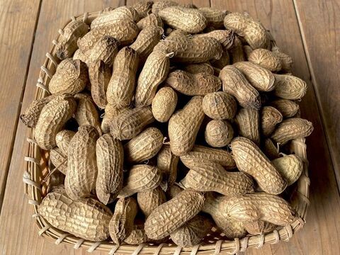 【規格外・B品】乾燥生落花生1kg【ジャンボピーナッツ・極大粒・殻付き】【農薬・化学肥料不使用】【天日乾燥】【令和6年・岐阜県産】