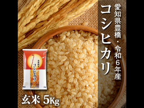 【節減対象農薬6割減】コシヒカリ 玄米5kg【令和6年・愛知県産】