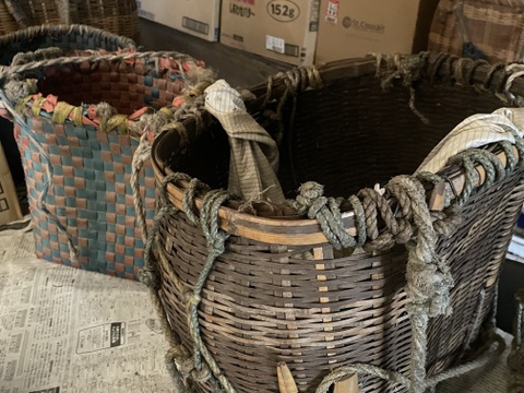 岩手県産　天然こごみ200g　山菜　(画像200g)