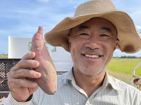 『有機JAS認定』さつまいもクイーン甘味の特級「紅はるか」３kg　(１５本前後)