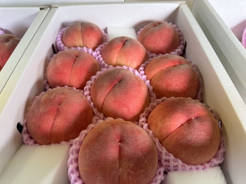 桃【品種おまかせ】硬め&追熟させて柔らかめ食べ比べ　3kg 【常温】