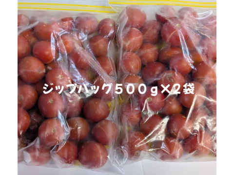 旬をそのまま！「Frozen cherry tomatoes」加工・調理用ミニトマト　クール便１kg