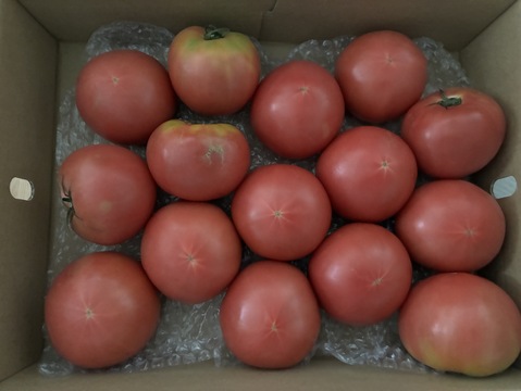 【有機JAS】飛騨産大玉トマト3キロ箱
今年もやっぱり丸かじり！麗月