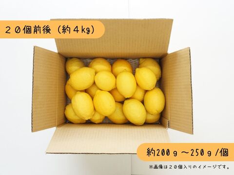 【広島県産】皮まで安心！大玉レモン！(4kg)