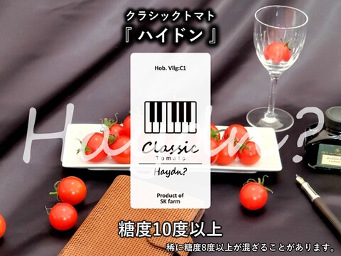 クラシック音楽で育つ 糖度10度以上の高糖度ミニトマト『 クラシックトマト ハイドン 』【750g】