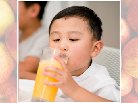 【夏ギフト】青森県産 無添加 果汁100% 完熟りんごジュース飲み比べ　1000ml×3種セット