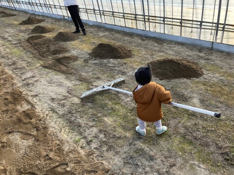 美味しい美味しいひとめぼれ！　玄米３０キロ　３袋小分け用