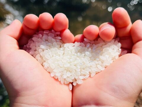 【新米】農薬85%カット！幻のあきたこまち 10kg