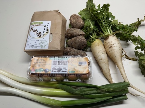 【農薬不使用食材/詰め合わせ小セット】令和7年産 コシヒカリ 白米 2kg+里芋500g+ミニ大根2本+長ネギ2本+たまご10個