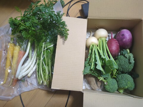 【お試し！】旬野菜！すずなり採れたて野菜セット( 簡単レシピ付き )