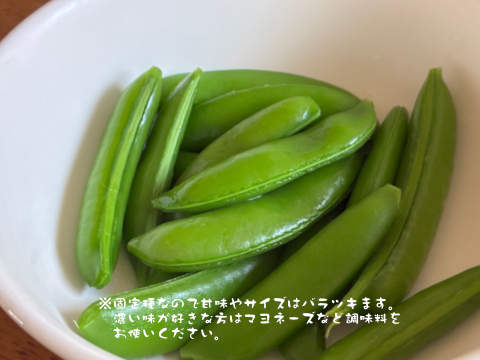 甘味の強い固定種野菜！『スナップエンドウ』 (400g)