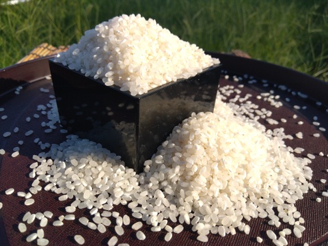 【朝市限定】ふっくら美味しい！【特別栽培米】”クロレラ米米”2kg+自家製米粉(300g)