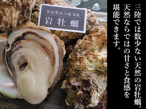 【完売御礼】三陸天然岩牡蠣 Mサイズ6個（1個200ｇ～300ｇ）殻付き生牡蠣 生食用 BBQ 【焼いても・蒸してもぷりっぷり♪】牡蠣ナイフセット付き