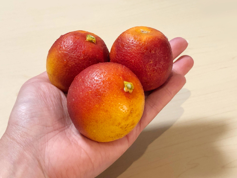 ブラッドオレンジ モロ・タロッコ食べ比べ 2kg : 赤色の果汁が特徴のオレンジ