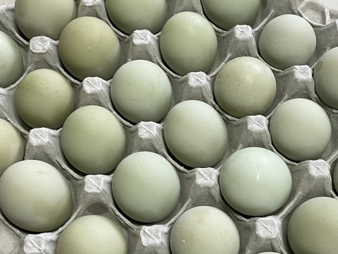 平飼い　飛鳥の卵と碧い瞳のラピィスの卵のハーフ＆ハーフコラボレーション60個〜見てよし、食べてよし、贈ってよし〜こってり卵にさようなら