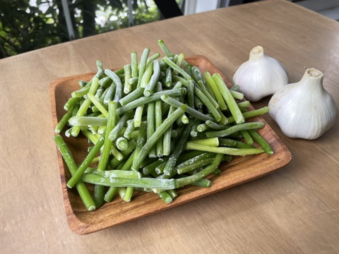 国産無農薬にんにくの芽 冷凍 300g 3パック 岐阜県産 食べチョク 農家 漁師の産直ネット通販 旬の食材を生産者直送
