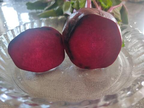 🌱収穫そのままお届け！畑直送！「食べる輸血」採れたて葉付きビーツ1〜2種セット約1.5kg🌱｜畑の鮮度そのまま✨｜農薬・化成肥料不使用｜✨