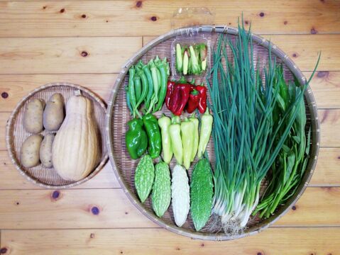 【農薬・化学肥料不使用】【クールで対応】おまかせ野菜セット【6~8種類の野菜】【80サイズ箱】