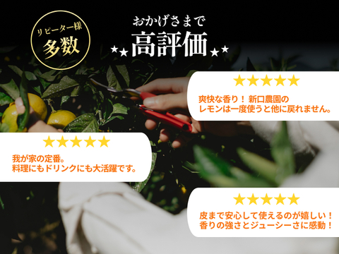 皮まで食べられる】愛媛レモン 2kg【防腐剤・ワックス不使用】家庭用