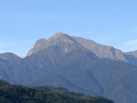 農薬不使用キウイフルーツ2Ｌサイズ　16個(約2kg)