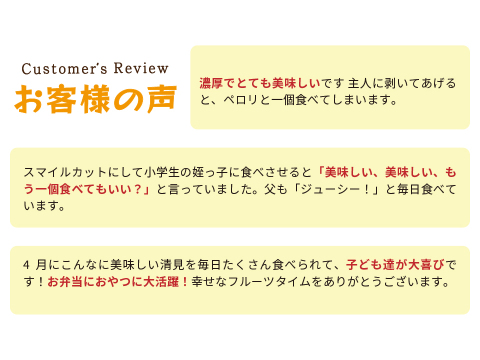 清見｜春先まで樹上完熟させた濃厚な味わい！みかんとオレンジのかけ合わせで生まれた和歌山県海南市下津町産の和製オレンジ（ご家庭用4kg）