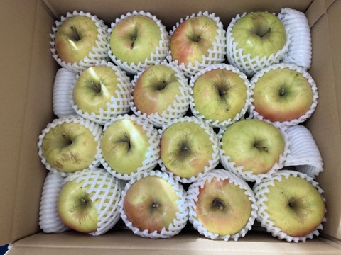 【販売開始！】青森県産りんご「ぐんま名月」家庭用 キズ有 約5kg 【光センサー選果・高リピート率】