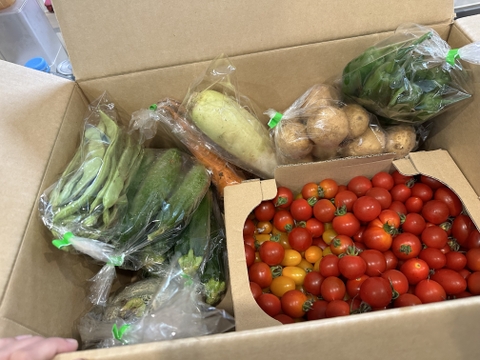 【お得セット】北海道から野菜詰め合わせ　１００サイズにズッシリ　トマトたっぷりと色々な野菜