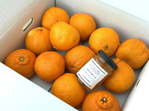 みかんで笑顔を！2525（ニコニコ）柑橘大満足セット！プリッと果肉で食べ応え十分！樹上完熟させた濃厚な甘みの「甘熟デコ」2.5kg＆みかん果肉たっぷり完熟ジャム（120g）詰め合わせ【2525】